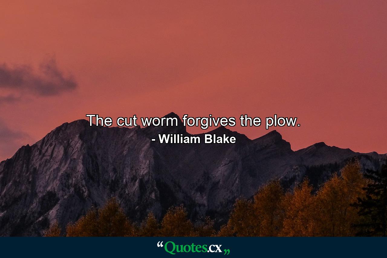 The cut worm forgives the plow. - Quote by William Blake