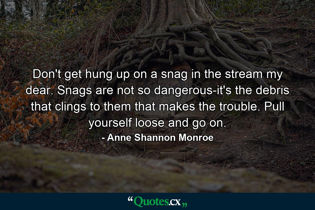 Don't get hung up on a snag in the stream  my dear. Snags are not so dangerous-it's the debris that clings to them that makes the trouble. Pull yourself loose and go on. - Quote by Anne Shannon Monroe