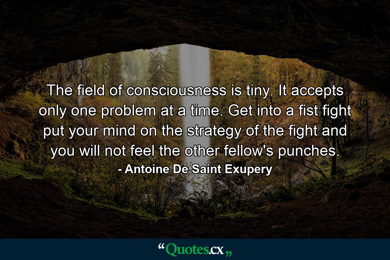 The field of consciousness is tiny. It accepts only one problem at a time. Get into a fist fight  put your mind on the strategy of the fight  and you will not feel the other fellow's punches. - Quote by Antoine De Saint Exupery