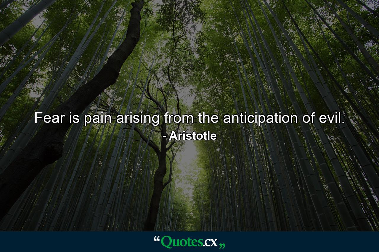 Fear is pain arising from the anticipation of evil. - Quote by Aristotle