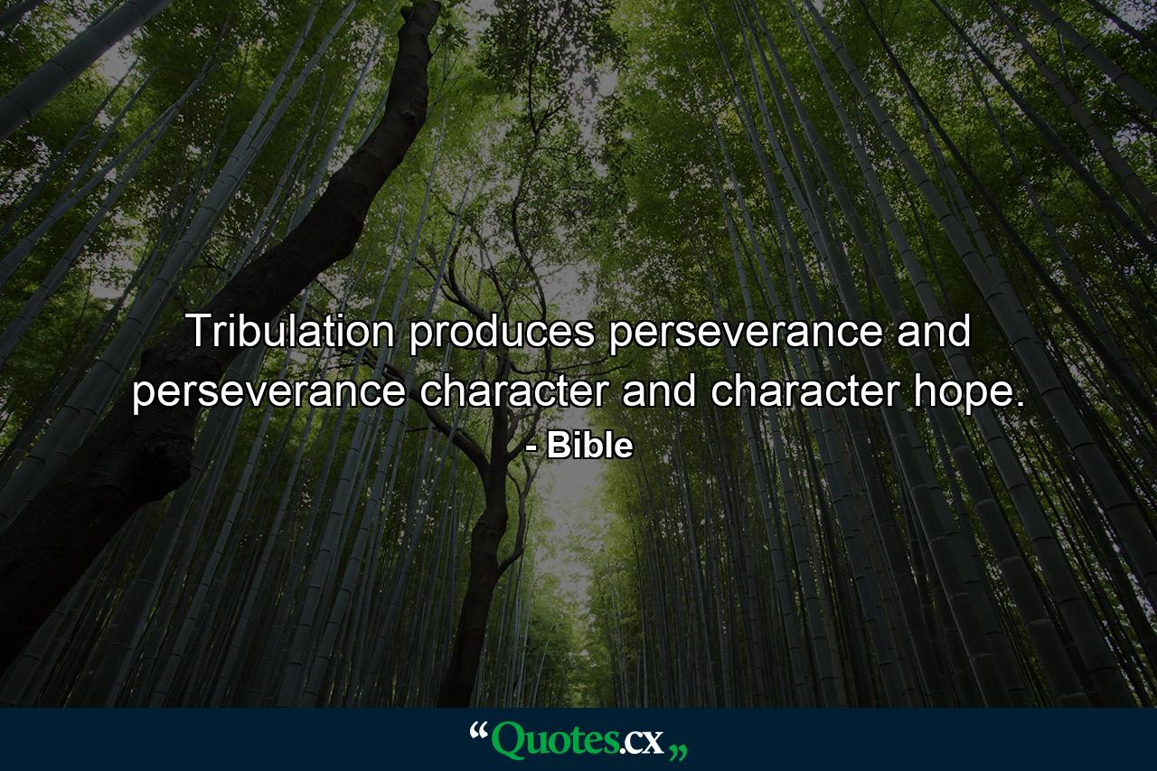 Tribulation produces perseverance  and perseverance  character  and character  hope. - Quote by Bible