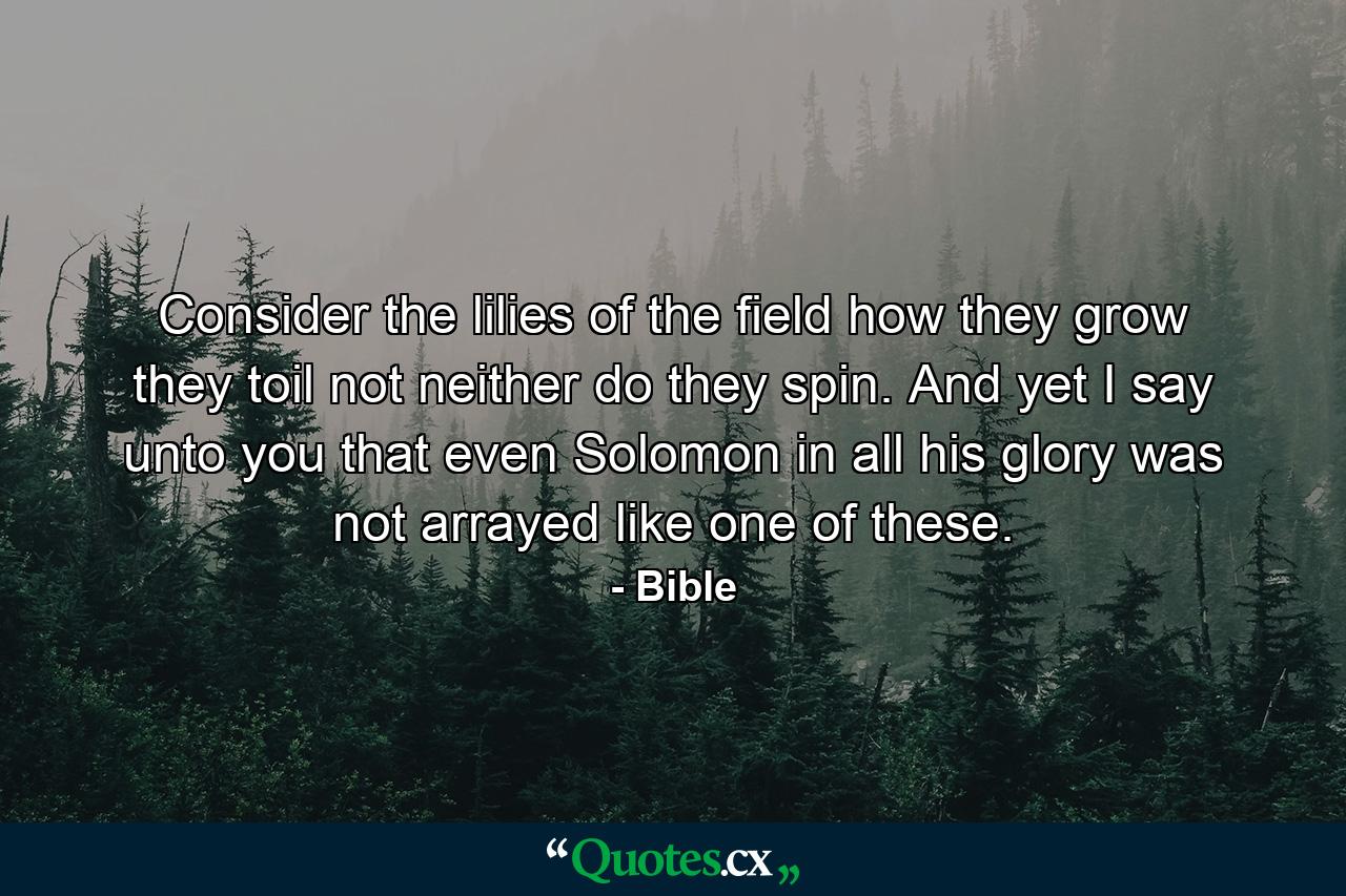 Consider the lilies of the field  how they grow  they toil not  neither do they spin. And yet I say unto you  that even Solomon in all his glory was not arrayed like one of these. - Quote by Bible