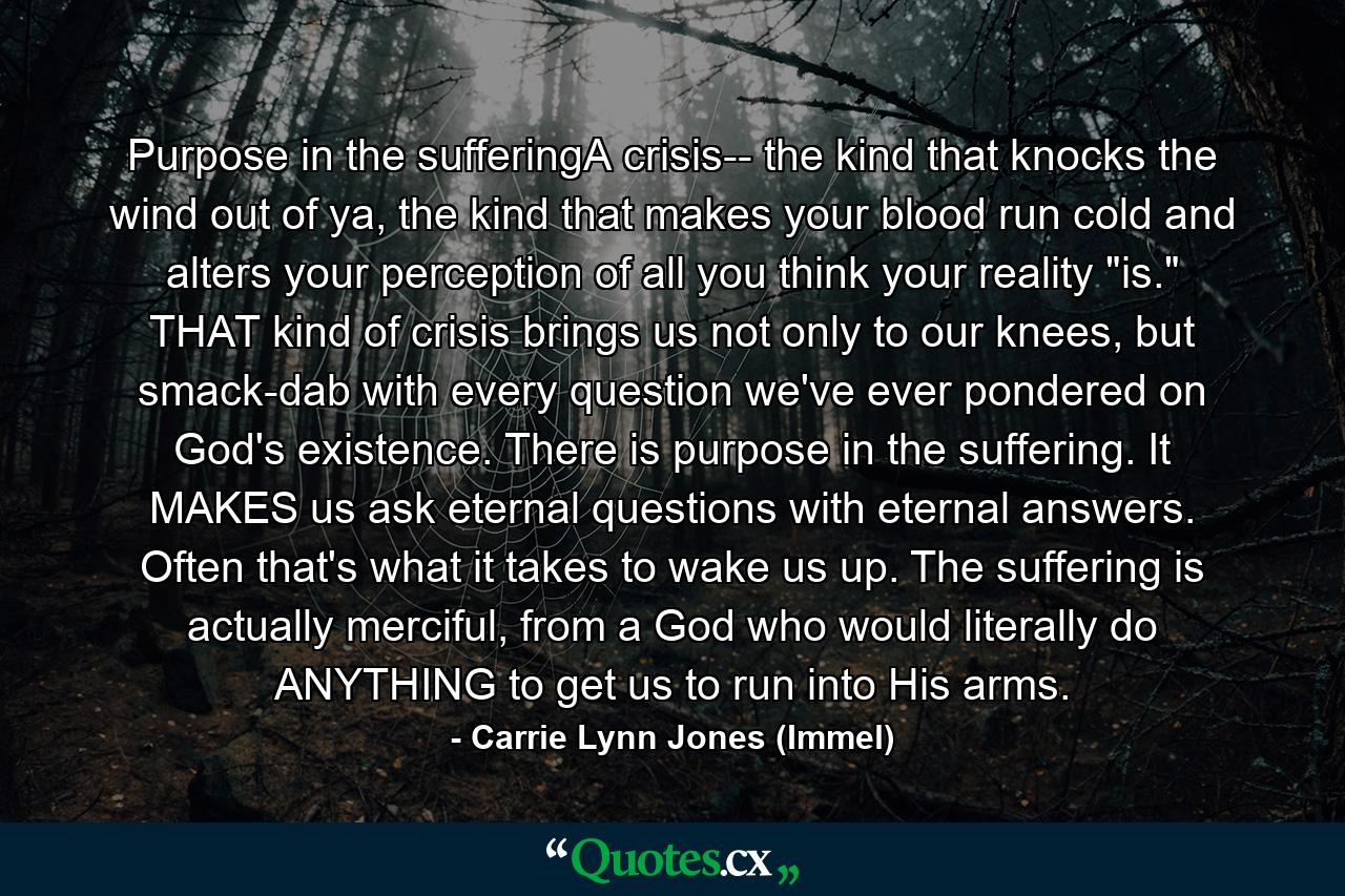 Purpose in the sufferingA crisis-- the kind that knocks the wind out of ya, the kind that makes your blood run cold and alters your perception of all you think your reality 