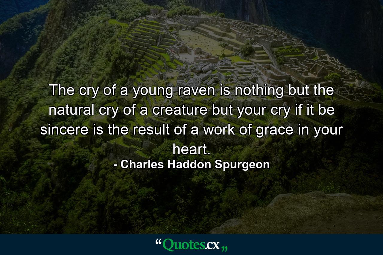 The cry of a young raven is nothing but the natural cry of a creature  but your cry  if it be sincere  is the result of a work of grace in your heart. - Quote by Charles Haddon Spurgeon