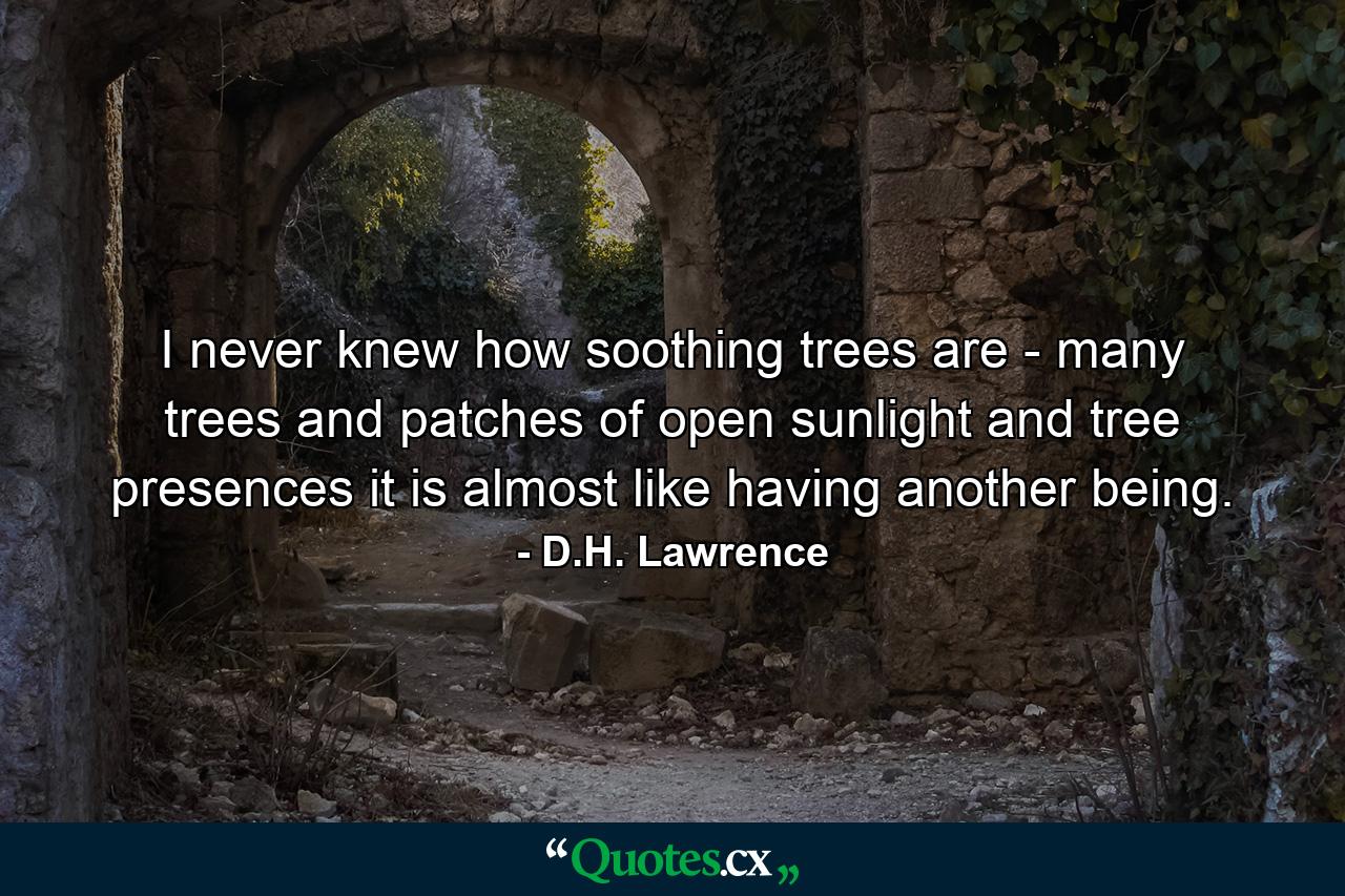 I never knew how soothing trees are - many trees and patches of open sunlight  and tree presences  it is almost like having another being. - Quote by D.H. Lawrence