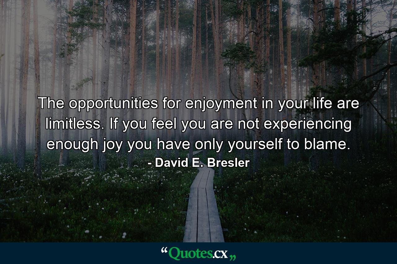 The opportunities for enjoyment in your life are limitless. If you feel you are not experiencing enough joy  you have only yourself to blame. - Quote by David E. Bresler