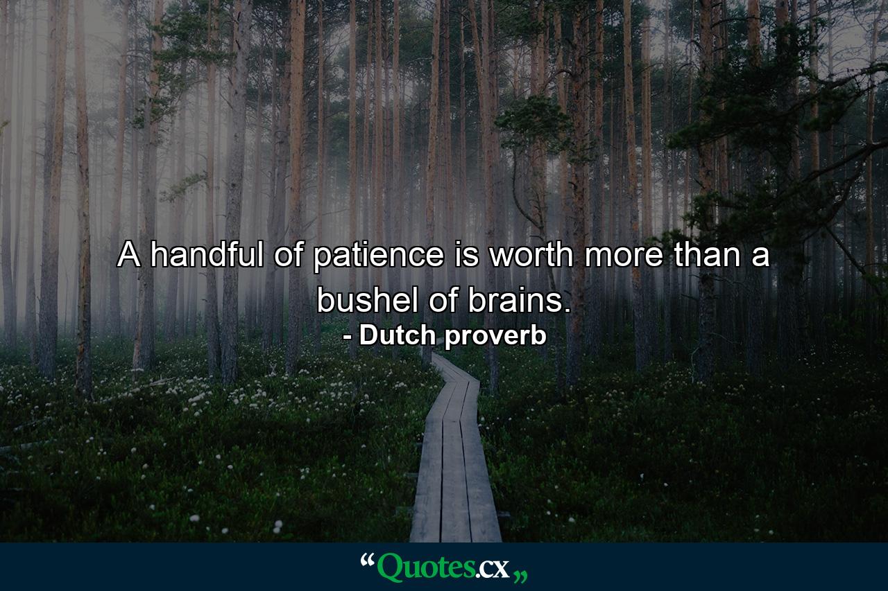 A handful of patience is worth more than a bushel of brains. - Quote by Dutch proverb