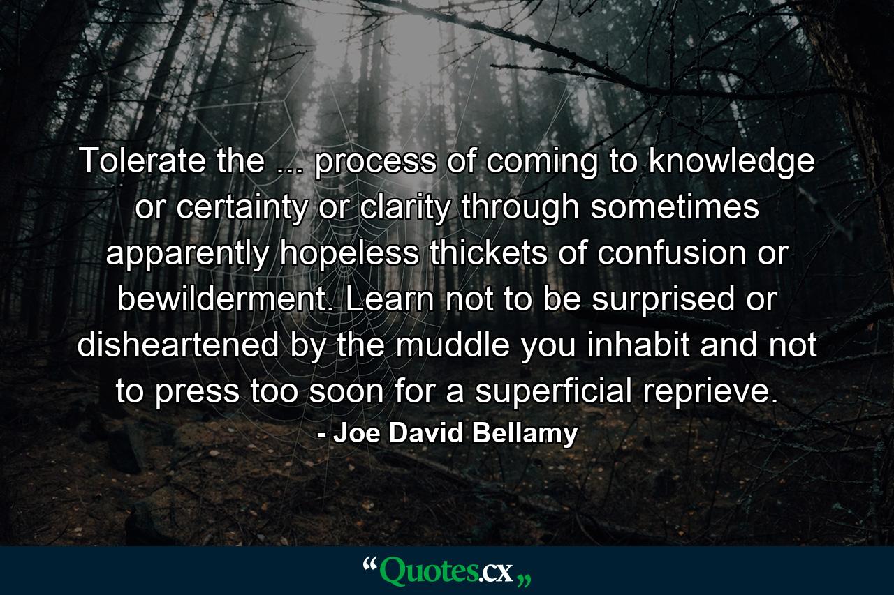 Tolerate the ... process of coming to knowledge or certainty or clarity through sometimes apparently hopeless thickets of confusion or bewilderment. Learn not to be surprised or disheartened by the muddle you inhabit  and not to press too soon for a superficial reprieve. - Quote by Joe David Bellamy