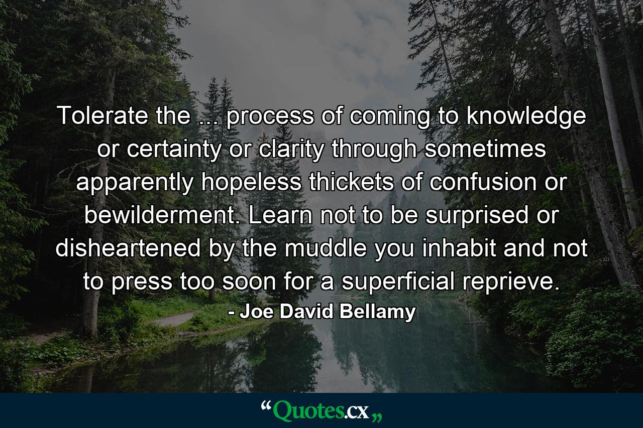 Tolerate the ... process of coming to knowledge or certainty or clarity through sometimes apparently hopeless thickets of confusion or bewilderment. Learn not to be surprised or disheartened by the muddle you inhabit  and not to press too soon for a superficial reprieve. - Quote by Joe David Bellamy