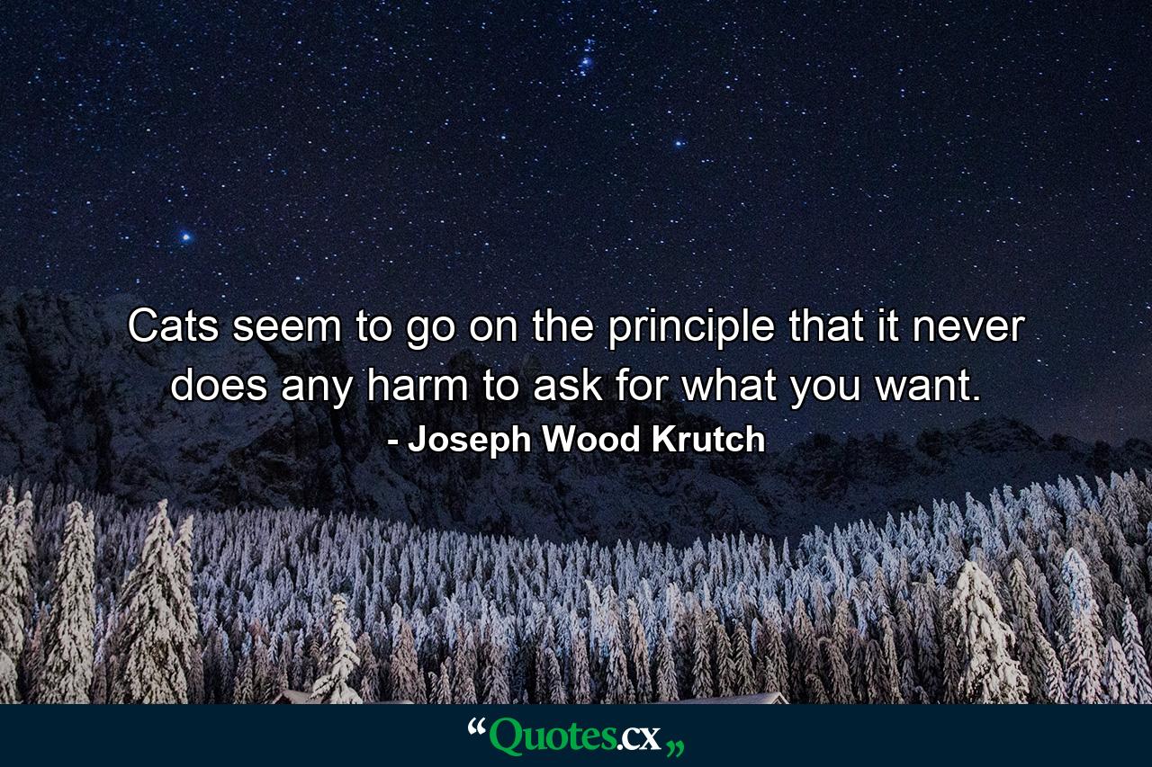 Cats seem to go on the principle that it never does any harm to ask for what you want. - Quote by Joseph Wood Krutch