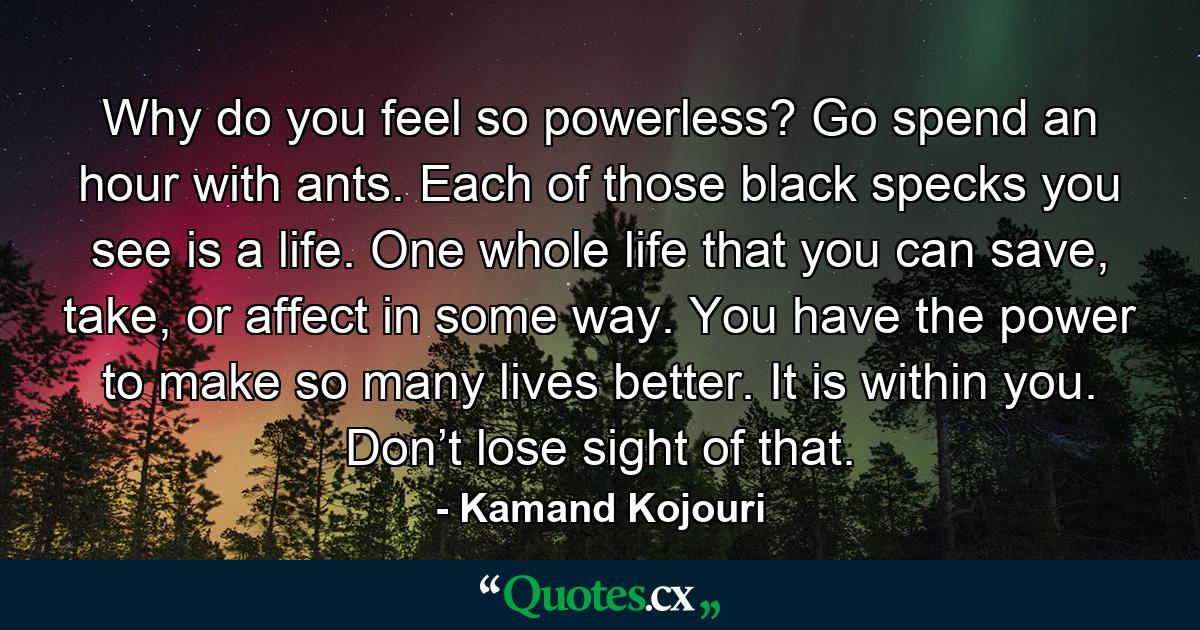 Why do you feel so powerless? Go spend an hour with ants. Each of those black specks you see is a life. One whole life that you can save, take, or affect in some way. You have the power to make so many lives better. It is within you. Don’t lose sight of that. - Quote by Kamand Kojouri