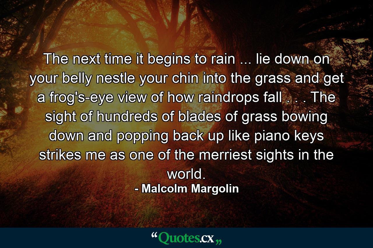 The next time it begins to rain ... lie down on your belly  nestle your chin into the grass  and get a frog's-eye view of how raindrops fall . . . The sight of hundreds of blades of grass bowing down and popping back up like piano keys strikes me as one of the merriest sights in the world. - Quote by Malcolm Margolin