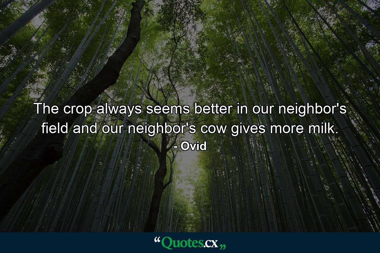 The crop always seems better in our neighbor's field  and our neighbor's cow gives more milk. - Quote by Ovid