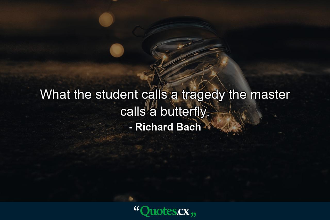 What the student calls a tragedy  the master calls a butterfly. - Quote by Richard Bach