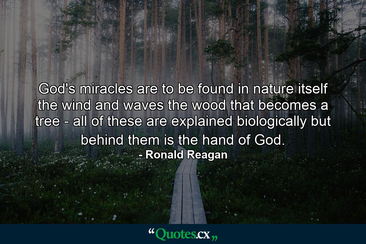 God's miracles are to be found in nature itself  the wind and waves  the wood that becomes a tree - all of these are explained biologically  but behind them is the hand of God. - Quote by Ronald Reagan