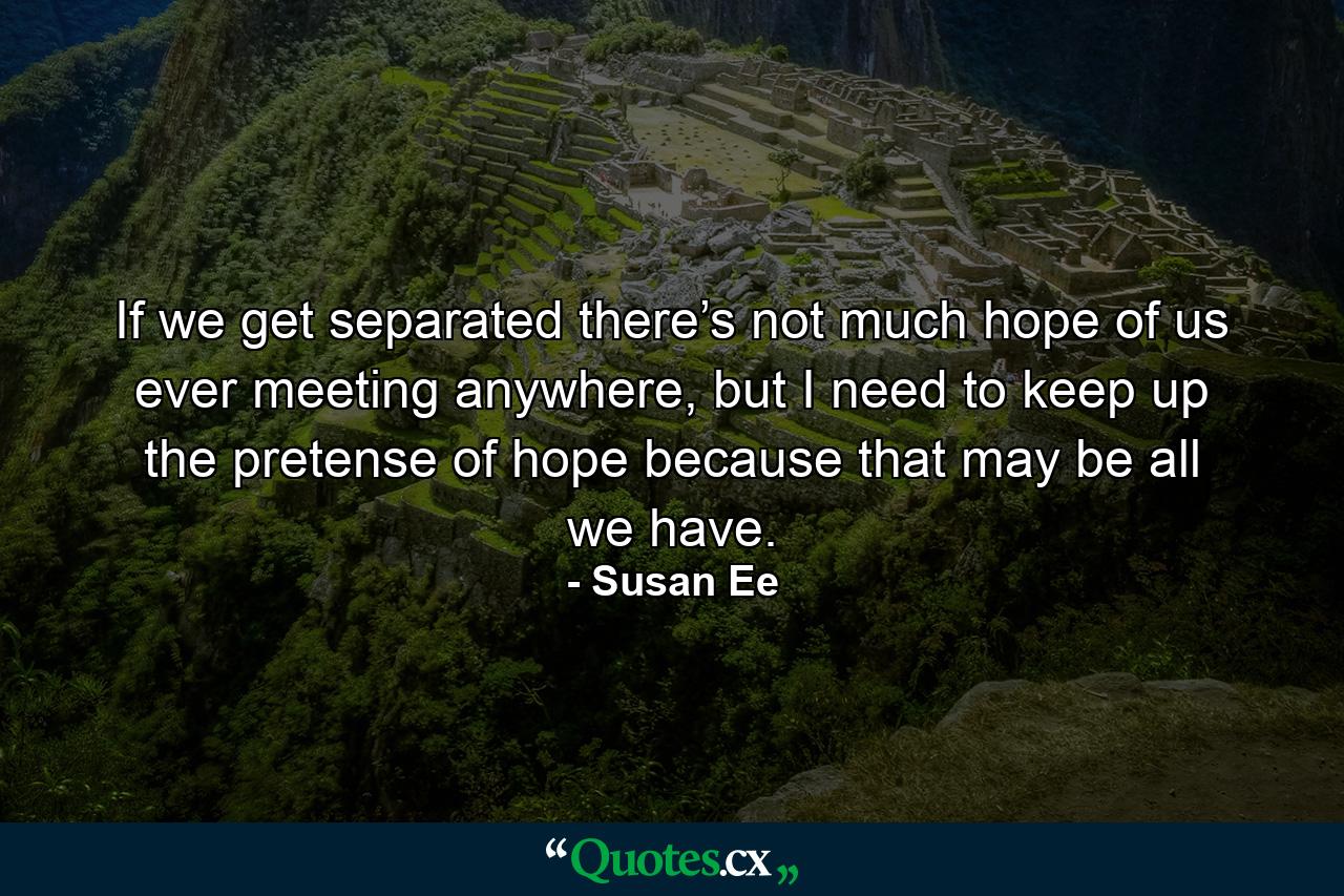 If we get separated there’s not much hope of us ever meeting anywhere, but I need to keep up the pretense of hope because that may be all we have. - Quote by Susan Ee