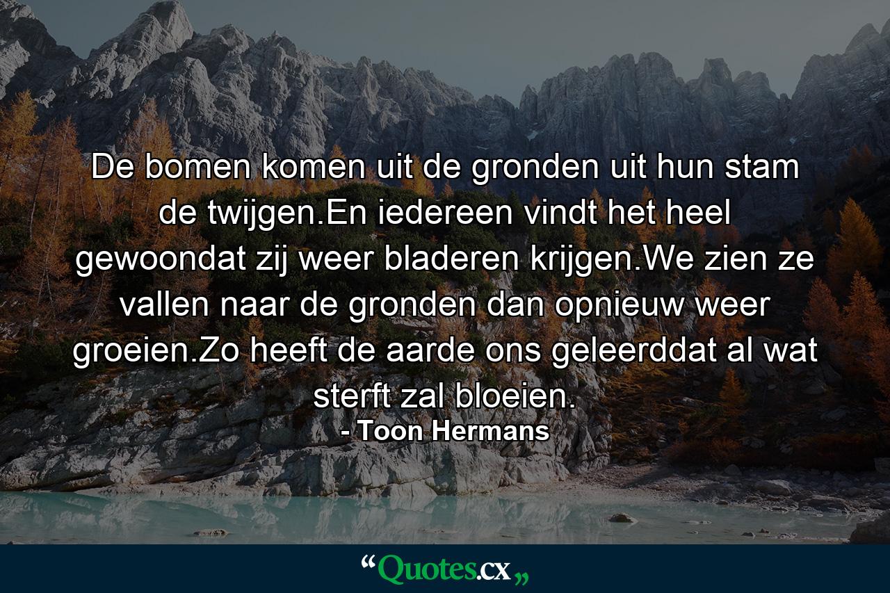 De bomen komen uit de gronden uit hun stam de twijgen.En iedereen vindt het heel gewoondat zij weer bladeren krijgen.We zien ze vallen naar de gronden dan opnieuw weer groeien.Zo heeft de aarde ons geleerddat al wat sterft zal bloeien. - Quote by Toon Hermans