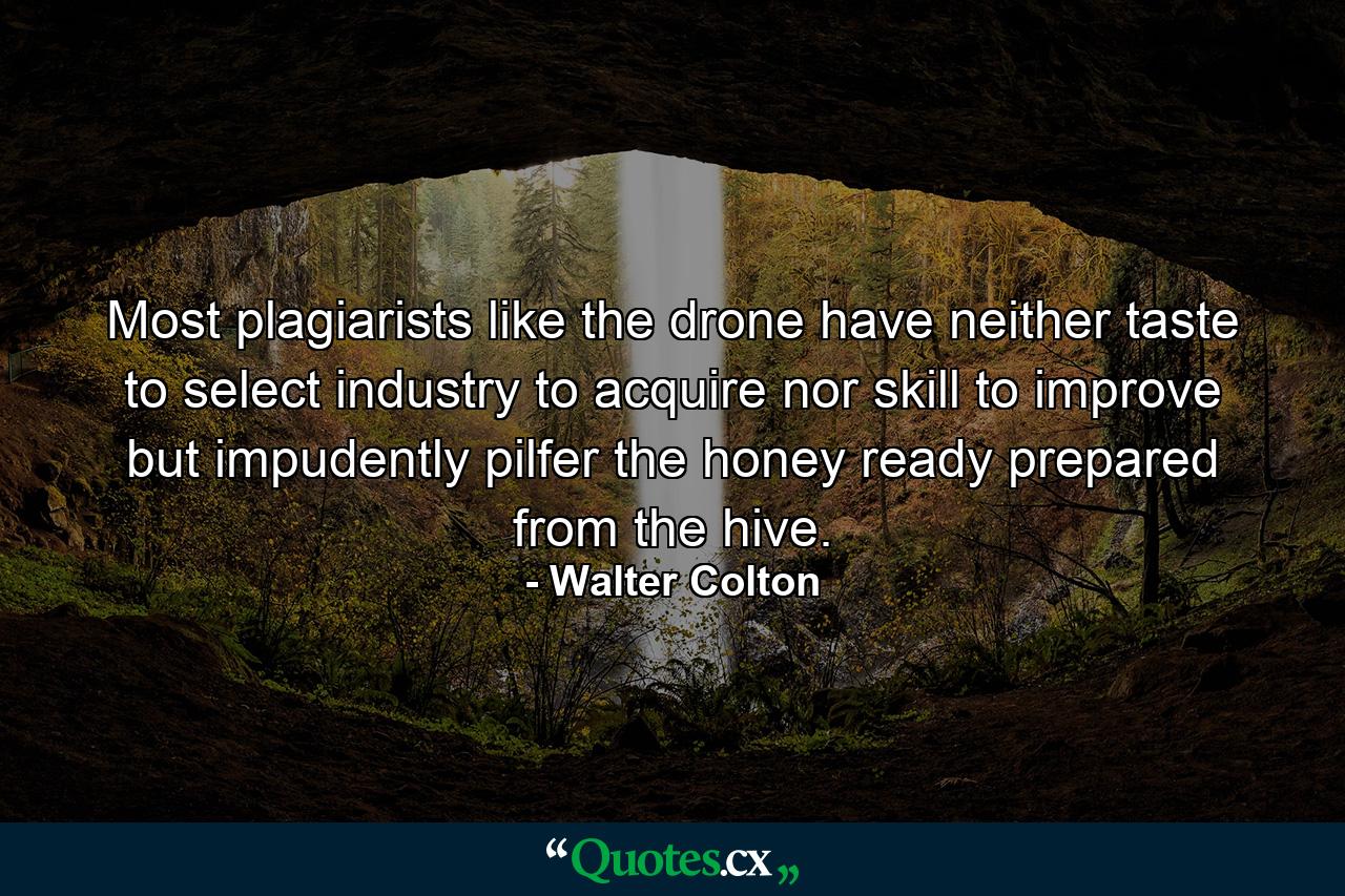 Most plagiarists  like the drone  have neither taste to select  industry to acquire  nor skill to improve  but impudently pilfer the honey ready prepared  from the hive. - Quote by Walter Colton