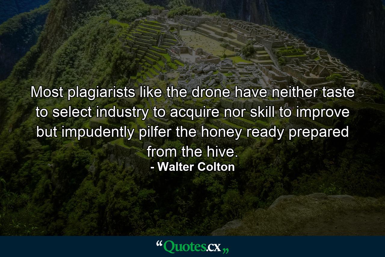 Most plagiarists  like the drone  have neither taste to select  industry to acquire  nor skill to improve  but impudently pilfer the honey ready prepared  from the hive. - Quote by Walter Colton