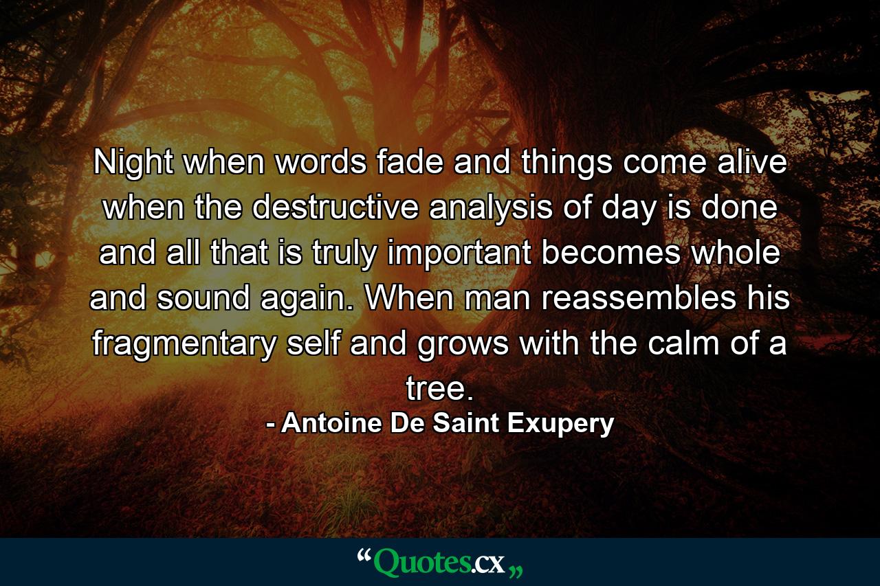 Night  when words fade and things come alive  when the destructive analysis of day is done  and all that is truly important becomes whole and sound again. When man reassembles his fragmentary self and grows with the calm of a tree. - Quote by Antoine De Saint Exupery