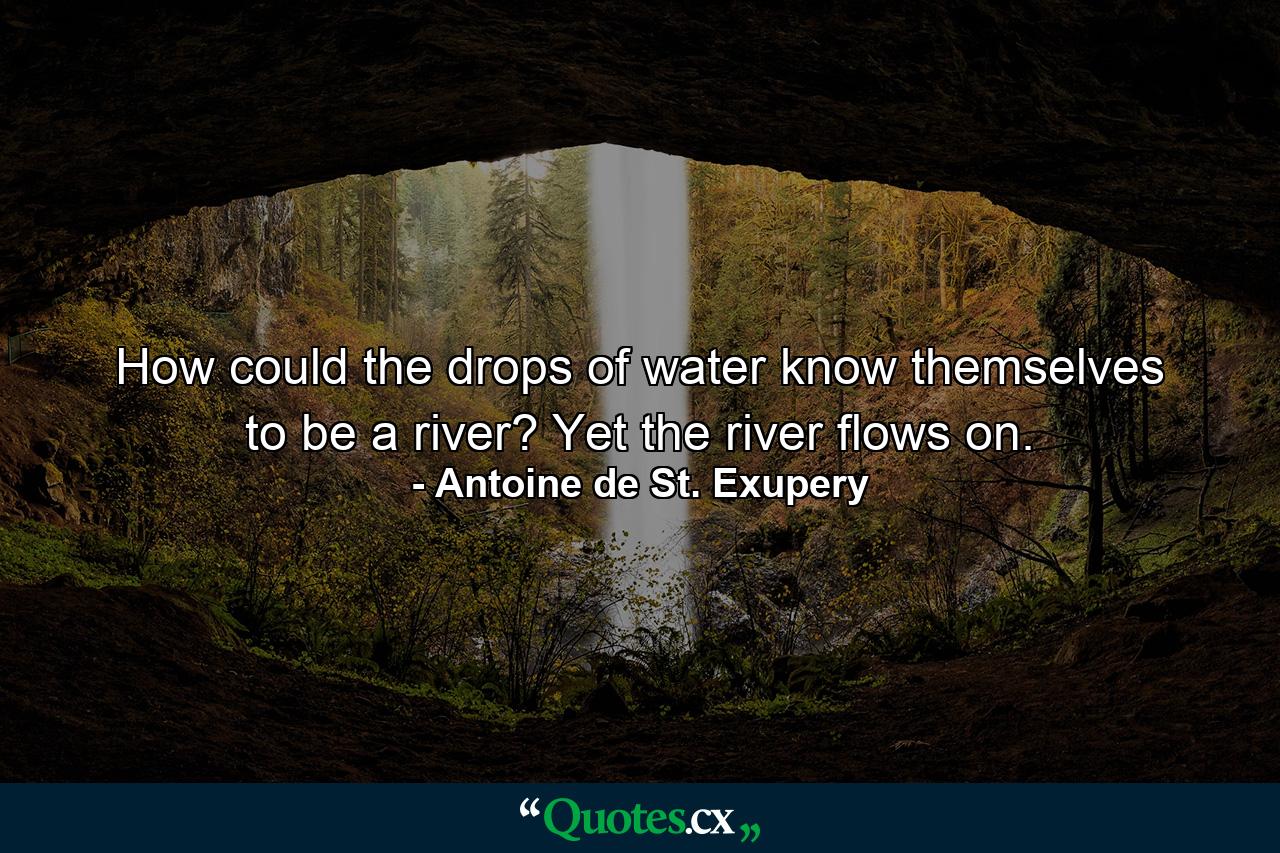 How could the drops of water know themselves to be a river? Yet the river flows on. - Quote by Antoine de St. Exupery