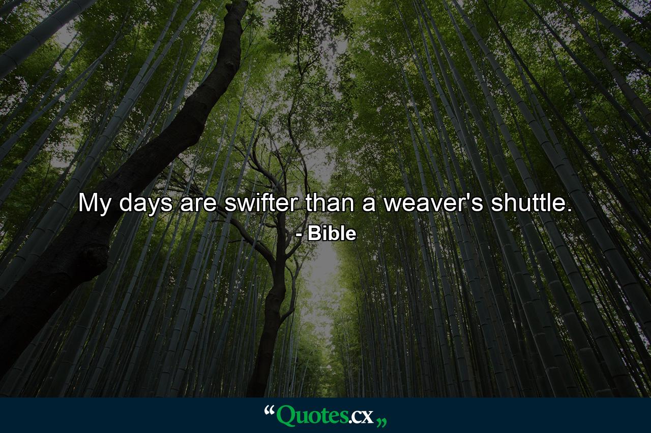 My days are swifter than a weaver's shuttle. - Quote by Bible