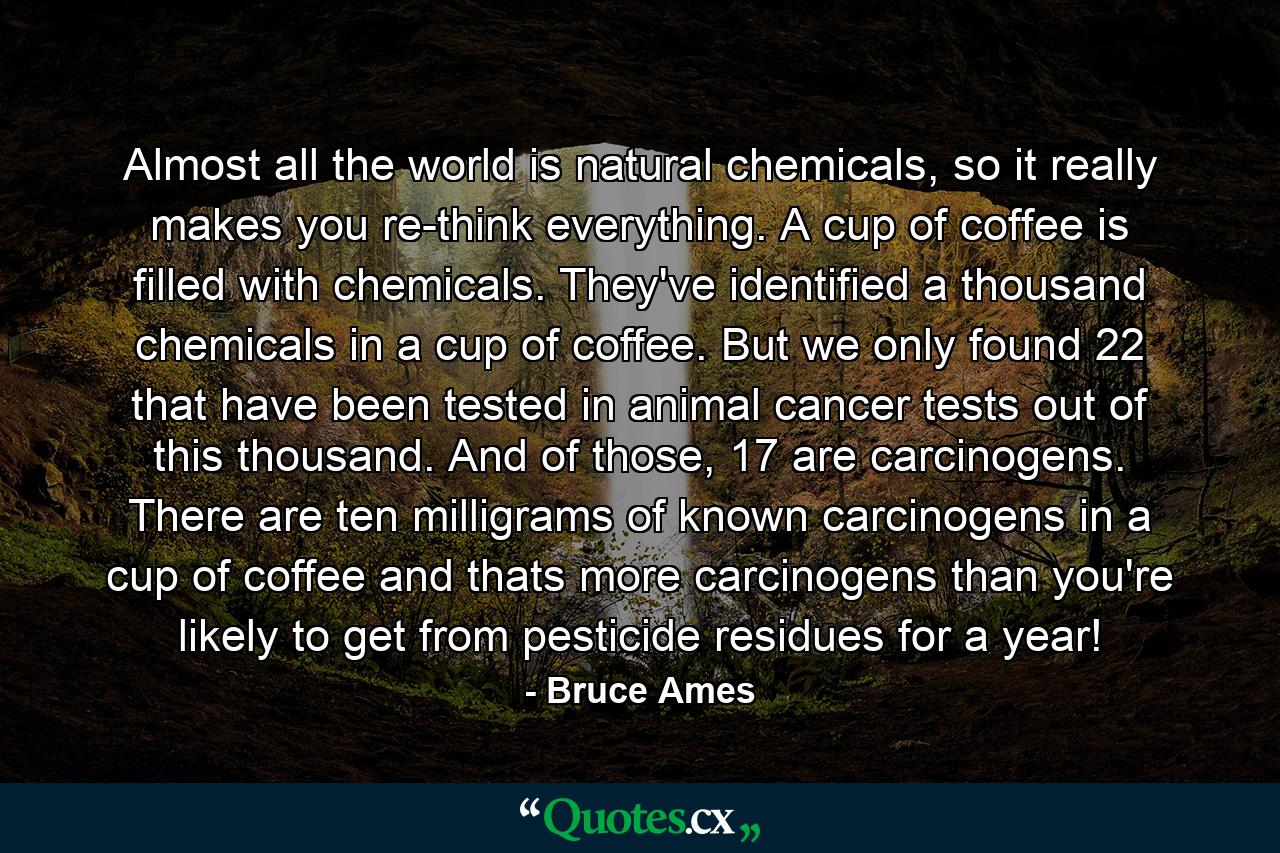 Almost all the world is natural chemicals, so it really makes you re-think everything. A cup of coffee is filled with chemicals. They've identified a thousand chemicals in a cup of coffee. But we only found 22 that have been tested in animal cancer tests out of this thousand. And of those, 17 are carcinogens. There are ten milligrams of known carcinogens in a cup of coffee and thats more carcinogens than you're likely to get from pesticide residues for a year! - Quote by Bruce Ames