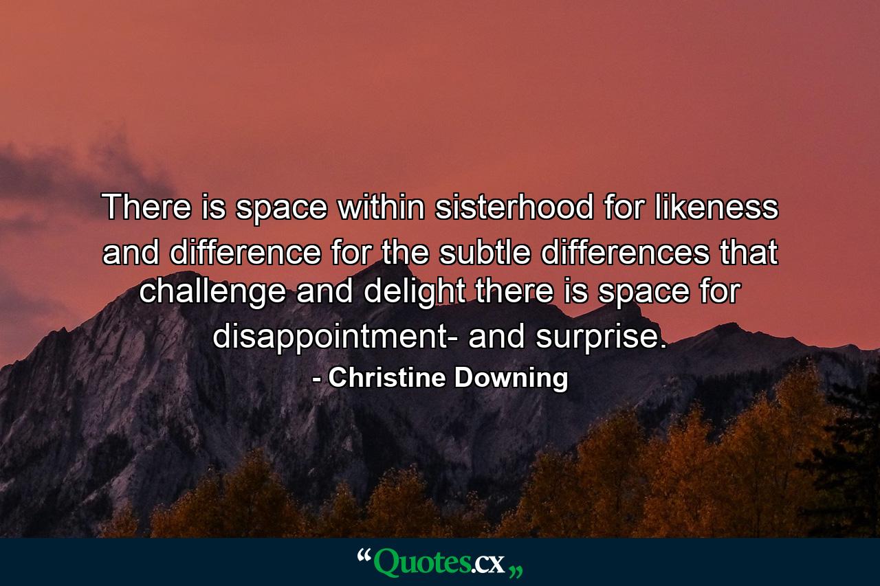 There is space within sisterhood for likeness and difference  for the subtle differences that challenge and delight  there is space for disappointment- and surprise. - Quote by Christine Downing