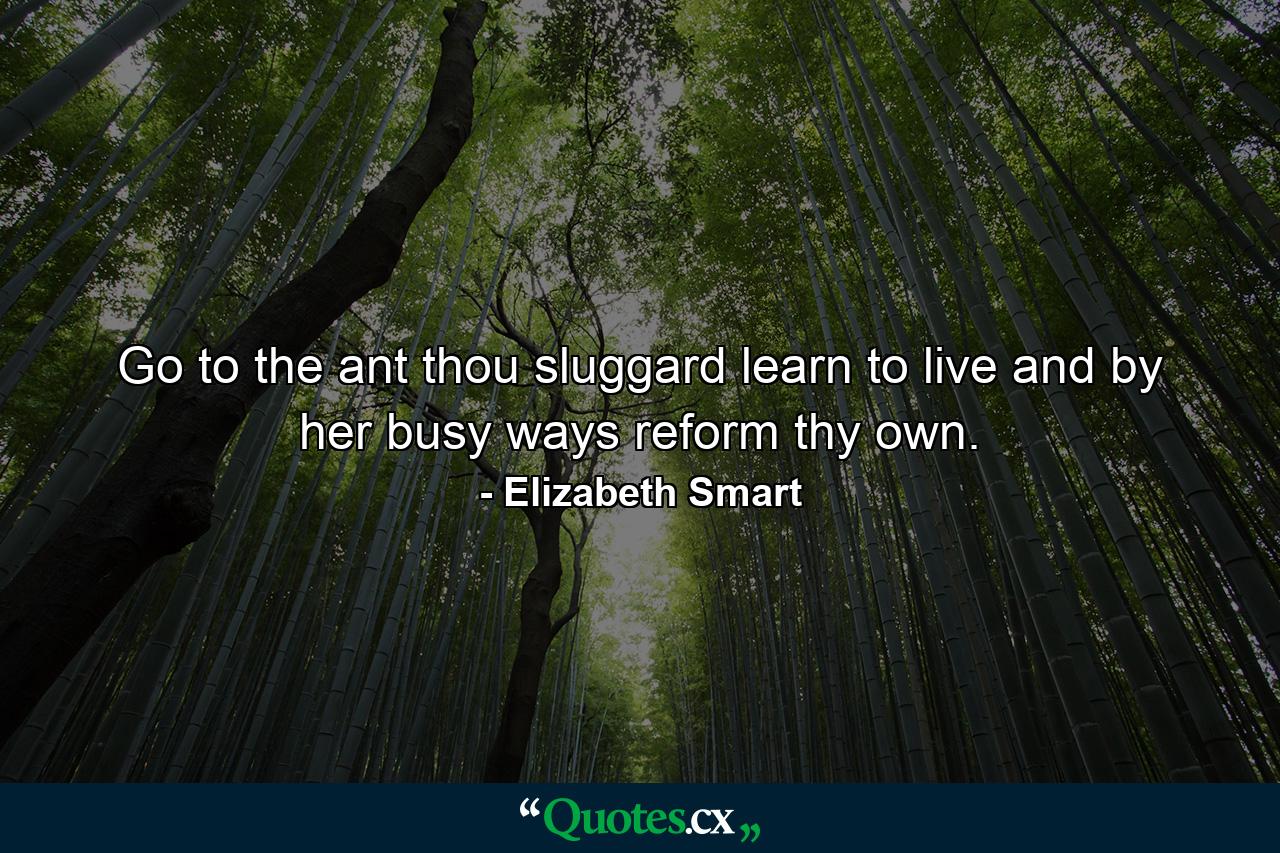 Go to the ant  thou sluggard  learn to live  and by her busy ways  reform thy own. - Quote by Elizabeth Smart