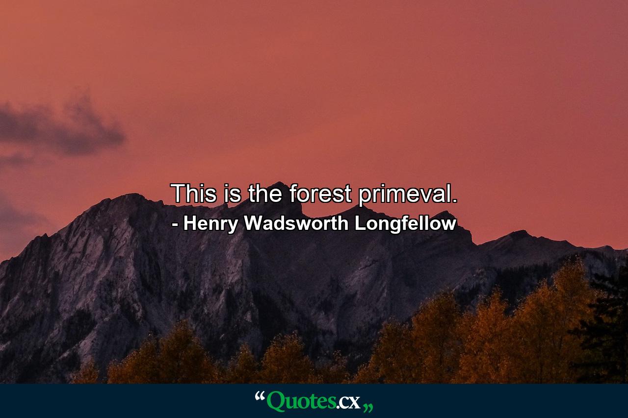 This is the forest primeval. - Quote by Henry Wadsworth Longfellow