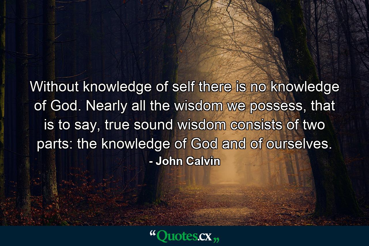 Without knowledge of self there is no knowledge of God. Nearly all the wisdom we possess, that is to say, true sound wisdom consists of two parts: the knowledge of God and of ourselves. - Quote by John Calvin