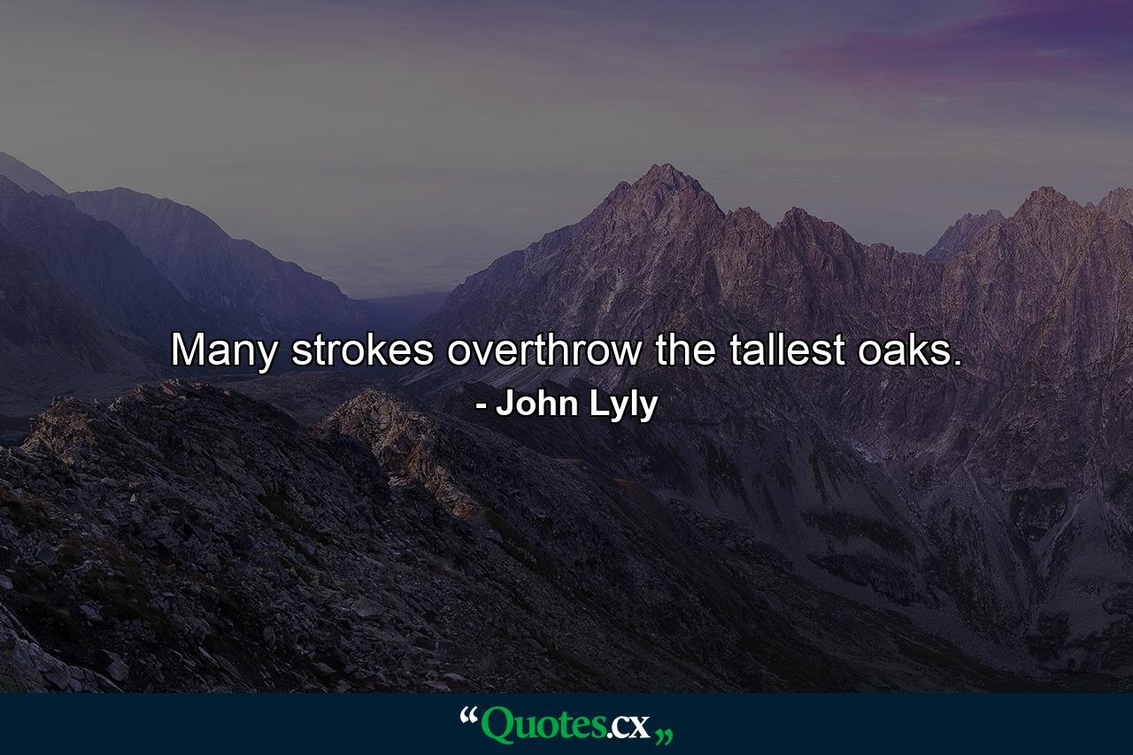 Many strokes overthrow the tallest oaks. - Quote by John Lyly