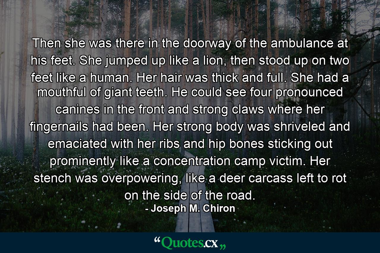 Then she was there in the doorway of the ambulance at his feet. She jumped up like a lion, then stood up on two feet like a human. Her hair was thick and full. She had a mouthful of giant teeth. He could see four pronounced canines in the front and strong claws where her fingernails had been. Her strong body was shriveled and emaciated with her ribs and hip bones sticking out prominently like a concentration camp victim. Her stench was overpowering, like a deer carcass left to rot on the side of the road. - Quote by Joseph M. Chiron