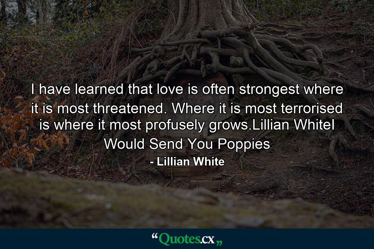 I have learned that love is often strongest where it is most threatened. Where it is most terrorised is where it most profusely grows.Lillian WhiteI Would Send You Poppies - Quote by Lillian White