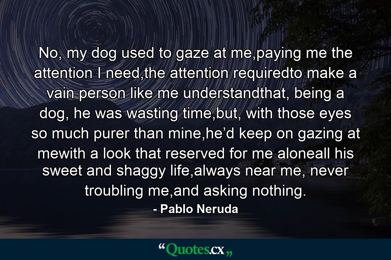 No, my dog used to gaze at me,paying me the attention I need,the attention requiredto make a vain person like me understandthat, being a dog, he was wasting time,but, with those eyes so much purer than mine,he’d keep on gazing at mewith a look that reserved for me aloneall his sweet and shaggy life,always near me, never troubling me,and asking nothing. - Quote by Pablo Neruda