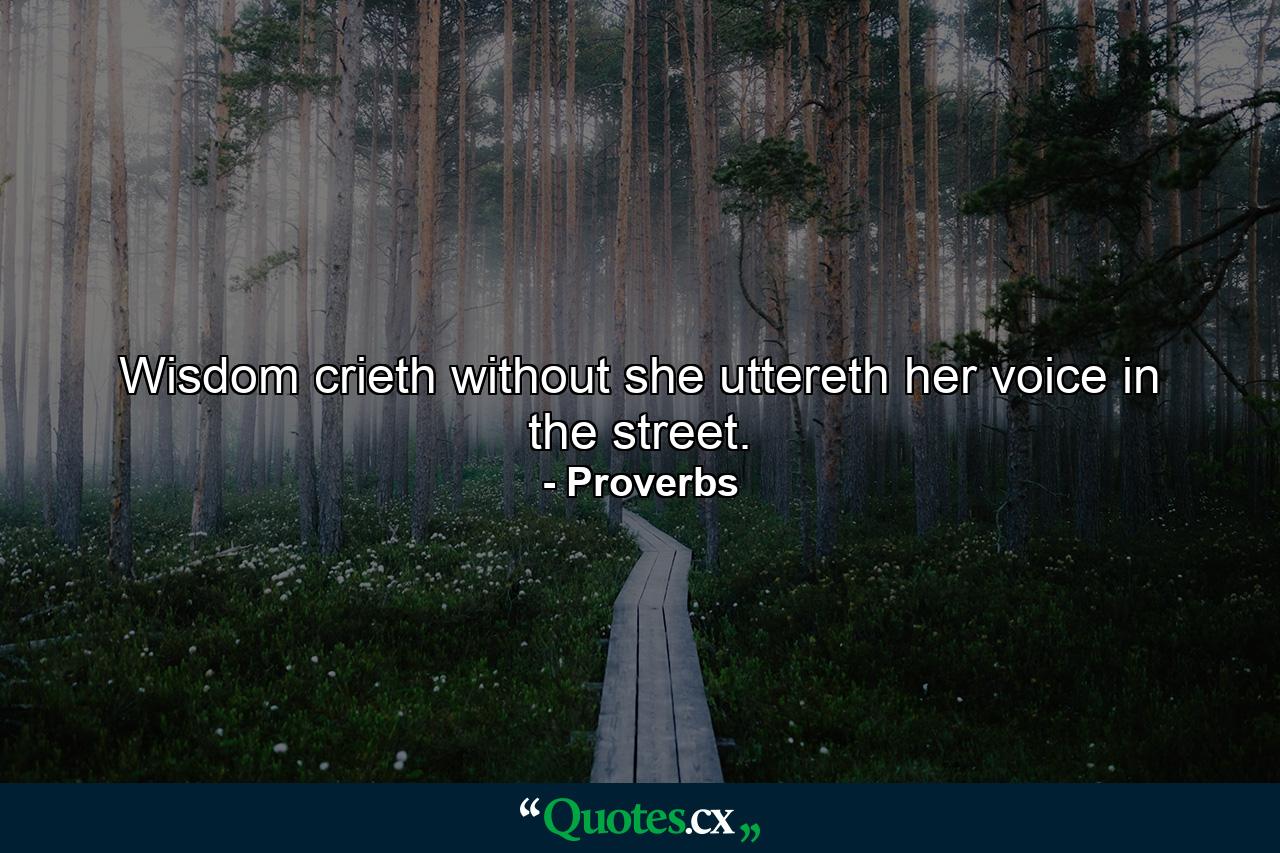 Wisdom crieth without  she uttereth her voice in the street. - Quote by Proverbs