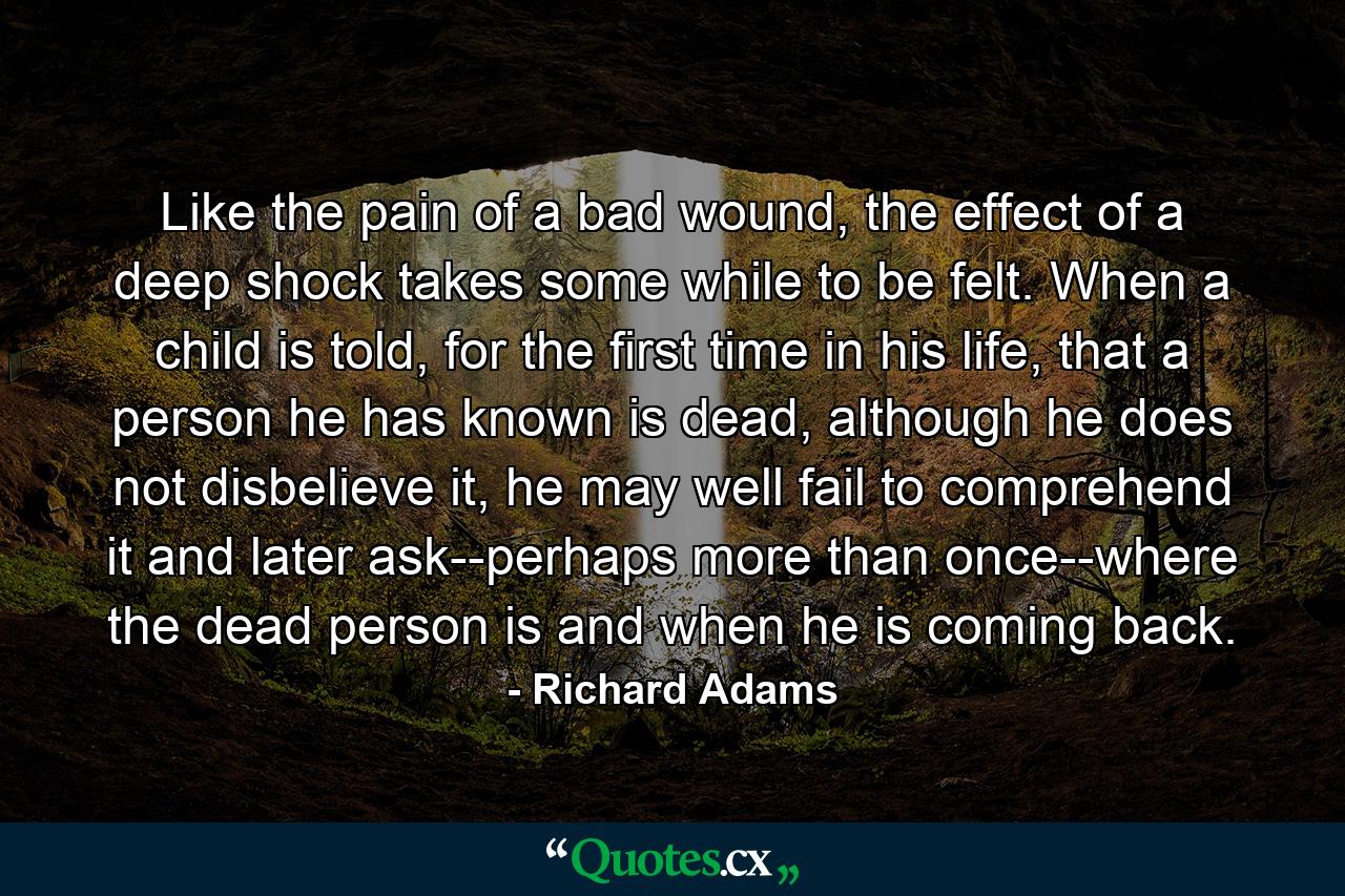 Like the pain of a bad wound, the effect of a deep shock takes some while to be felt. When a child is told, for the first time in his life, that a person he has known is dead, although he does not disbelieve it, he may well fail to comprehend it and later ask--perhaps more than once--where the dead person is and when he is coming back. - Quote by Richard Adams