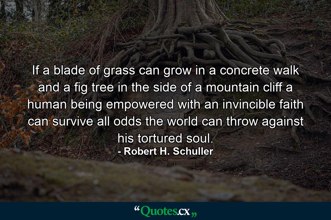 If a blade of grass can grow in a concrete walk and a fig tree in the side of a mountain cliff  a human being empowered with an invincible faith can survive all odds the world can throw against his tortured soul. - Quote by Robert H. Schuller