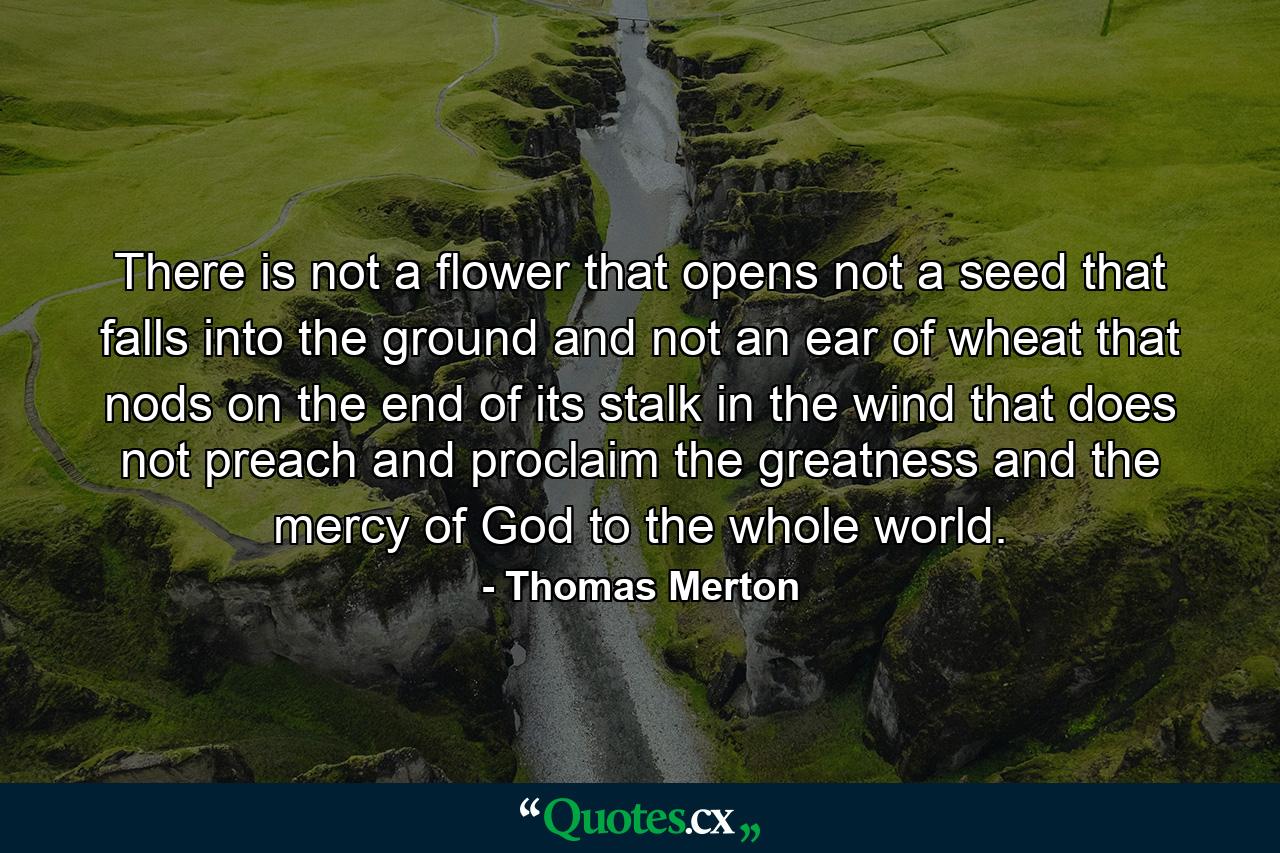 There is not a flower that opens  not a seed that falls into the ground  and not an ear of wheat that nods on the end of its stalk in the wind that does not preach and proclaim the greatness and the mercy of God to the whole world. - Quote by Thomas Merton