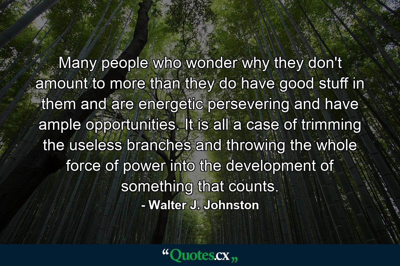 Many people who wonder why they don't amount to more than they do have good stuff in them  and are energetic  persevering  and have ample opportunities. It is all a case of trimming the useless branches and throwing the whole force of power into the development of something that counts. - Quote by Walter J. Johnston