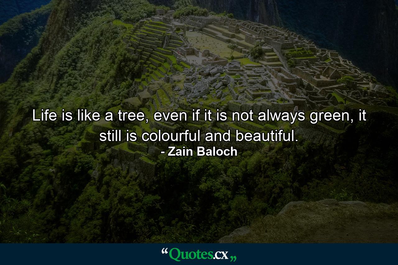 Life is like a tree, even if it is not always green, it still is colourful and beautiful. - Quote by Zain Baloch