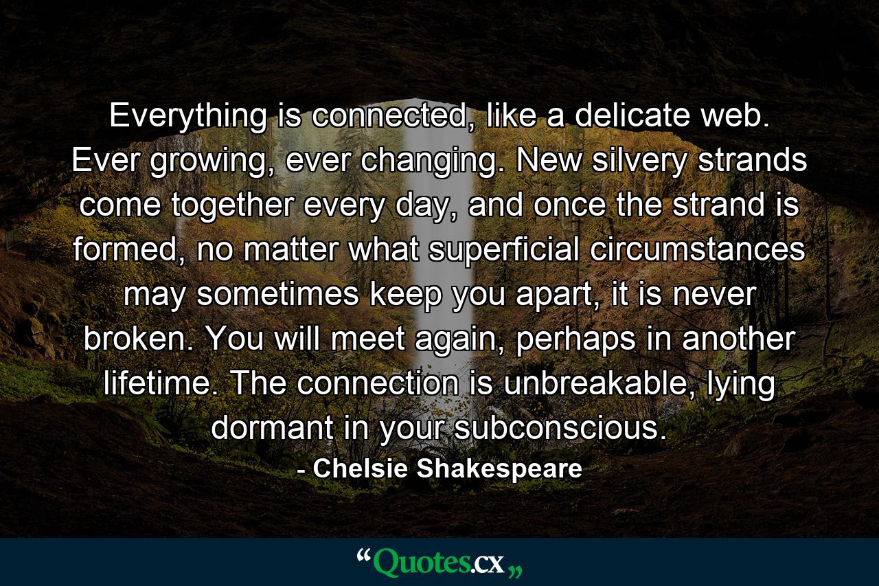 Everything is connected, like a delicate web. Ever growing, ever changing. New silvery strands come together every day, and once the strand is formed, no matter what superficial circumstances may sometimes keep you apart, it is never broken. You will meet again, perhaps in another lifetime. The connection is unbreakable, lying dormant in your subconscious. - Quote by Chelsie Shakespeare