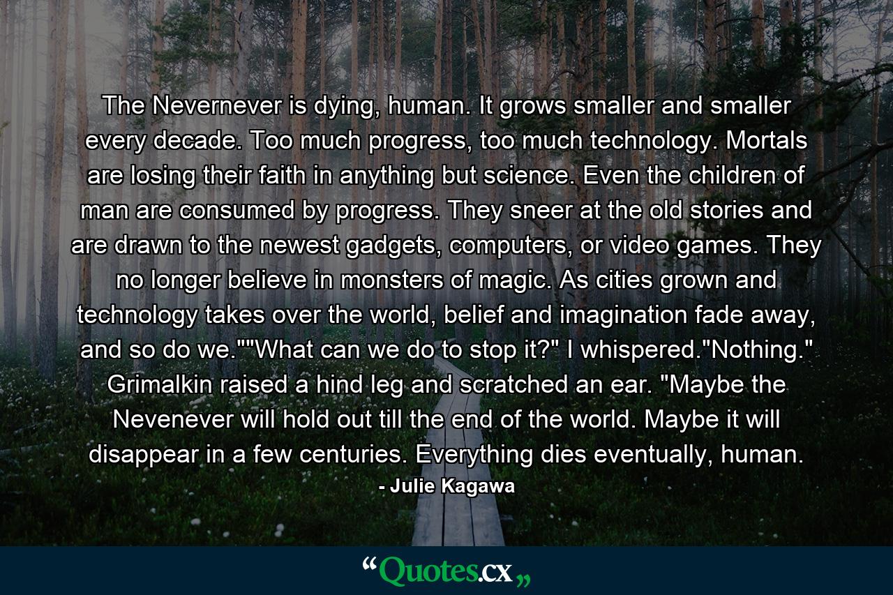 The Nevernever is dying, human. It grows smaller and smaller every decade. Too much progress, too much technology. Mortals are losing their faith in anything but science. Even the children of man are consumed by progress. They sneer at the old stories and are drawn to the newest gadgets, computers, or video games. They no longer believe in monsters of magic. As cities grown and technology takes over the world, belief and imagination fade away, and so do we.