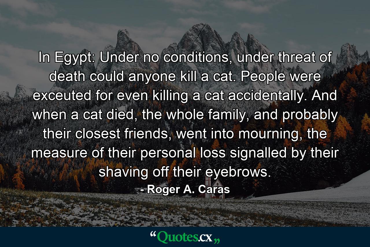 In Egypt: Under no conditions, under threat of death could anyone kill a cat. People were exceuted for even killing a cat accidentally. And when a cat died, the whole family, and probably their closest friends, went into mourning, the measure of their personal loss signalled by their shaving off their eyebrows. - Quote by Roger A. Caras