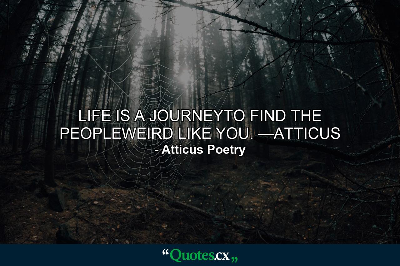 LIFE IS A JOURNEYTO FIND THE PEOPLEWEIRD LIKE YOU. —ATTICUS - Quote by Atticus Poetry