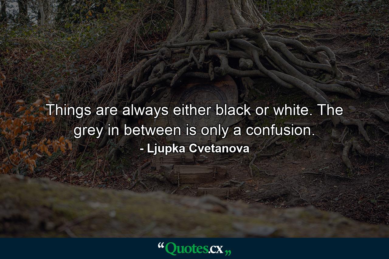 Things are always either black or white. The grey in between is only a confusion. - Quote by Ljupka Cvetanova