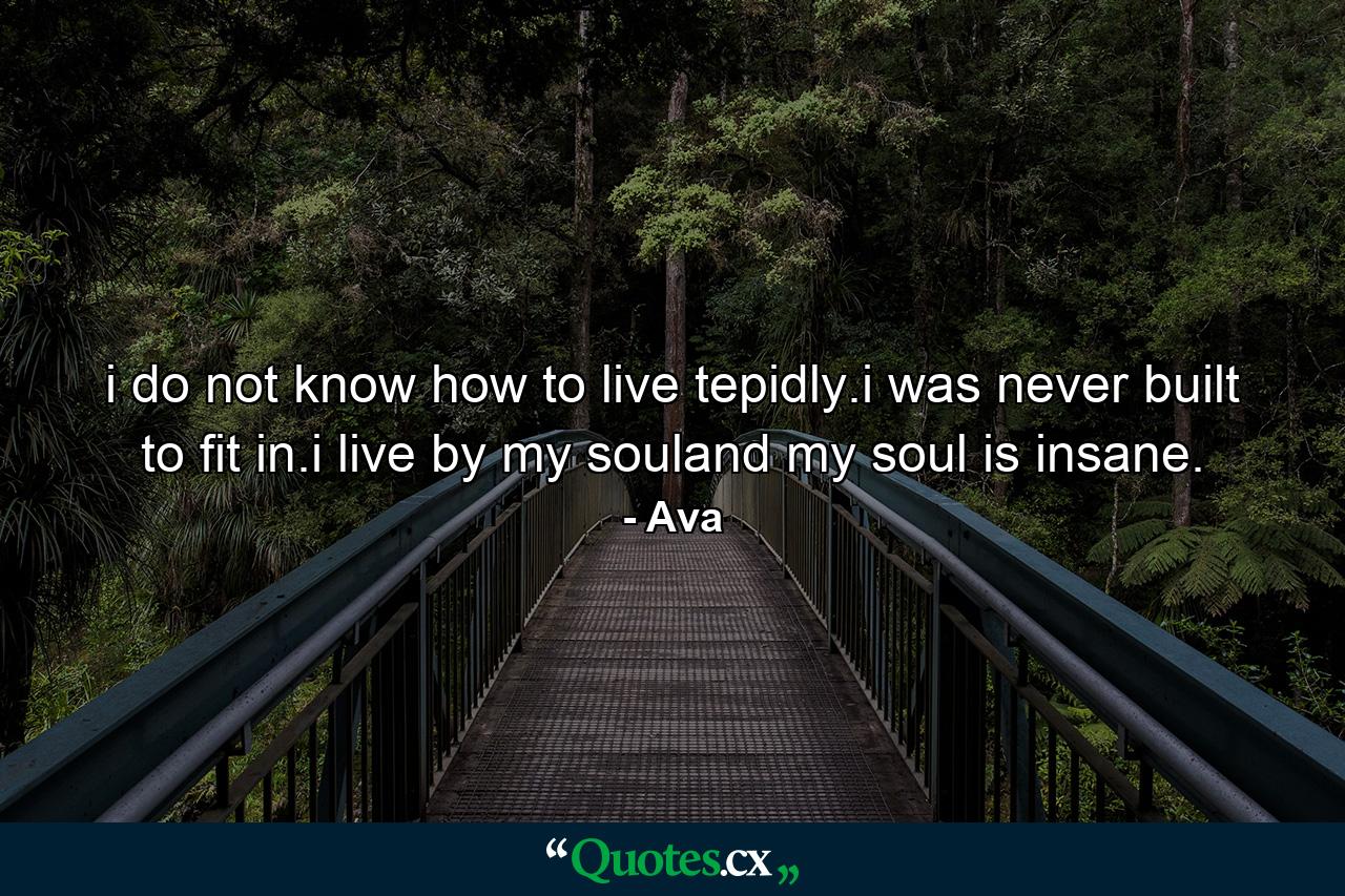 i do not know how to live tepidly.i was never built to fit in.i live by my souland my soul is insane. - Quote by Ava