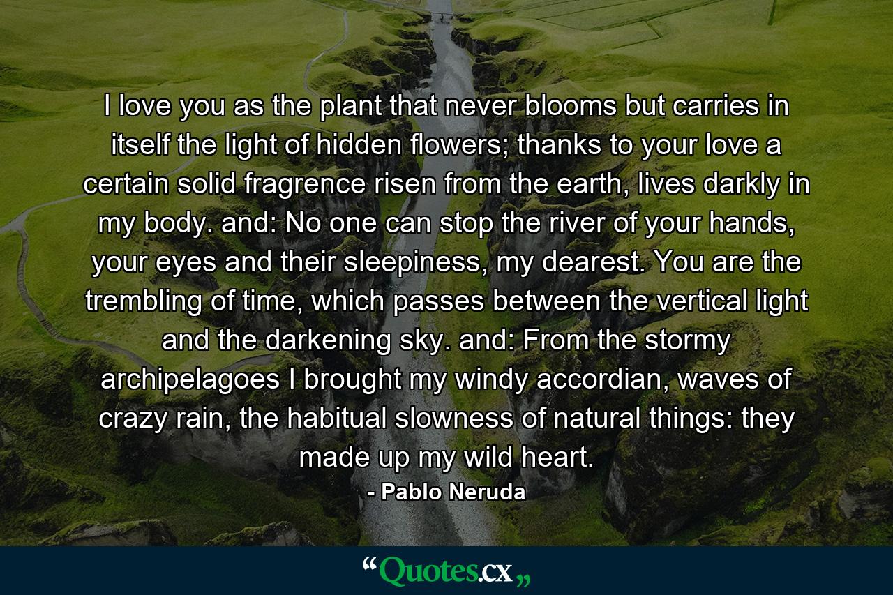 I love you as the plant that never blooms but carries in itself the light of hidden flowers; thanks to your love a certain solid fragrence risen from the earth, lives darkly in my body. and: No one can stop the river of your hands, your eyes and their sleepiness, my dearest. You are the trembling of time, which passes between the vertical light and the darkening sky. and: From the stormy archipelagoes I brought my windy accordian, waves of crazy rain, the habitual slowness of natural things: they made up my wild heart. - Quote by Pablo Neruda