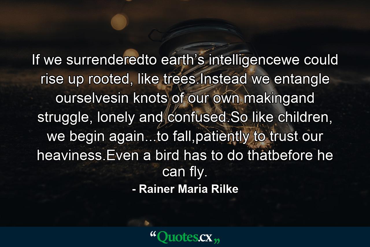 If we surrenderedto earth’s intelligencewe could rise up rooted, like trees.Instead we entangle ourselvesin knots of our own makingand struggle, lonely and confused.So like children, we begin again...to fall,patiently to trust our heaviness.Even a bird has to do thatbefore he can fly. - Quote by Rainer Maria Rilke