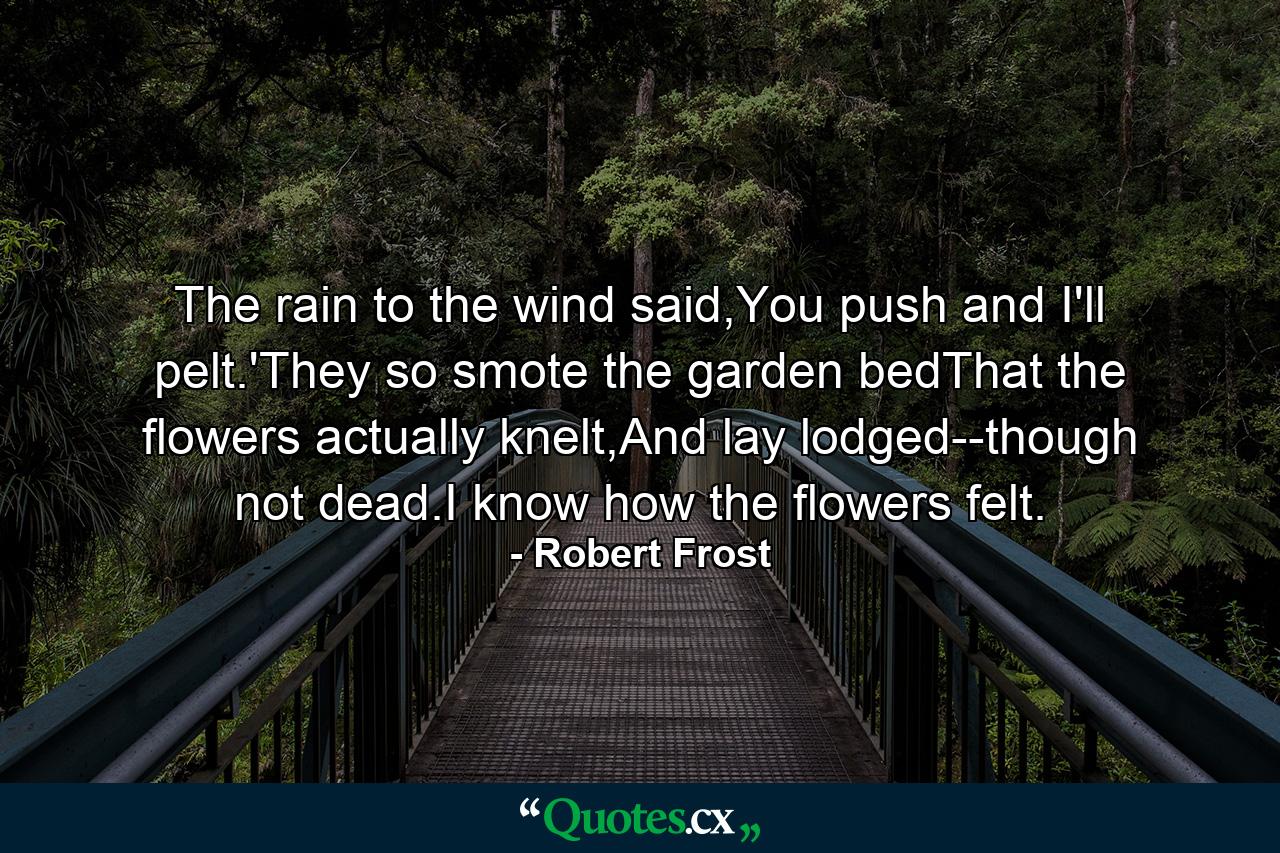 The rain to the wind said,You push and I'll pelt.'They so smote the garden bedThat the flowers actually knelt,And lay lodged--though not dead.I know how the flowers felt. - Quote by Robert Frost